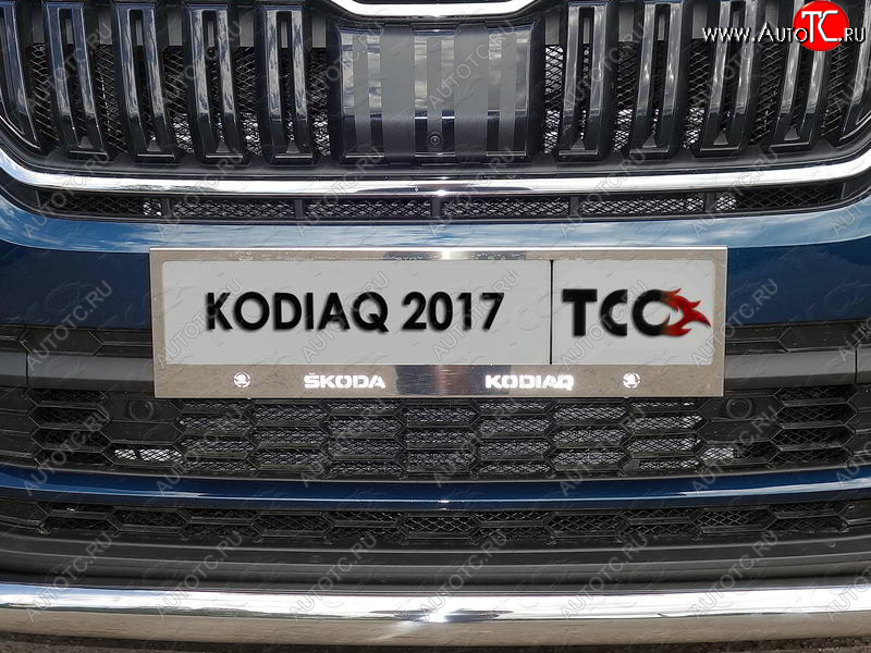 5 999 р. Рамка гос. номера ТСС Тюнинг Skoda Kodiaq NU7 дорестайлинг (2017-2021) (нержавейка)  с доставкой в г. Пермь