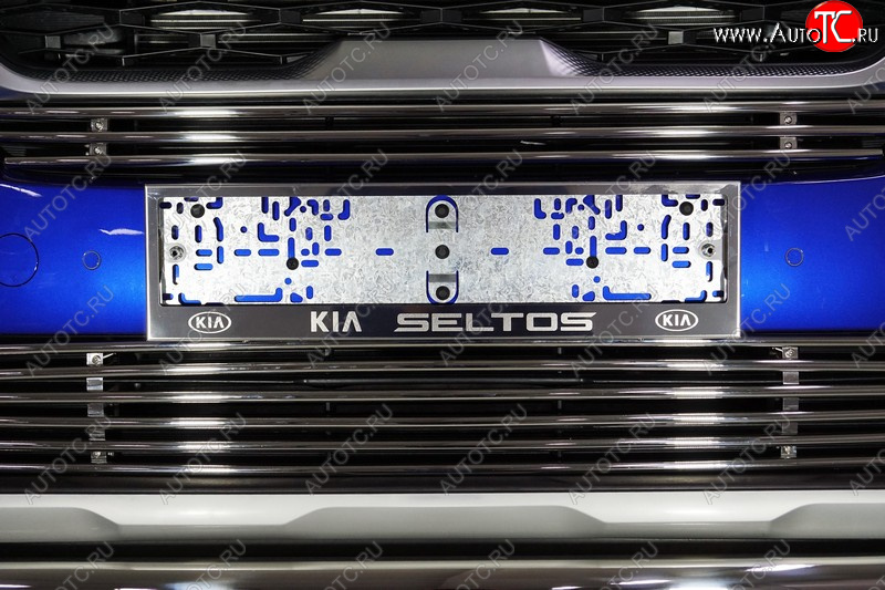 4 999 р. Рамка гос. номера ТСС Тюнинг  KIA Seltos (2019-2025) (нержавейка)  с доставкой в г. Пермь