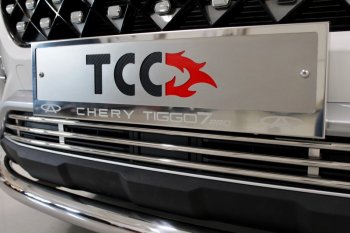 Рамка гос. номера ТСС Тюнинг Chery Tiggo 7 PRO (2019-2025) (нержавейка)