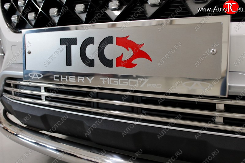 4 999 р. Рамка гос. номера ТСС Тюнинг Chery Tiggo 7 PRO (2019-2025) (нержавейка)  с доставкой в г. Пермь