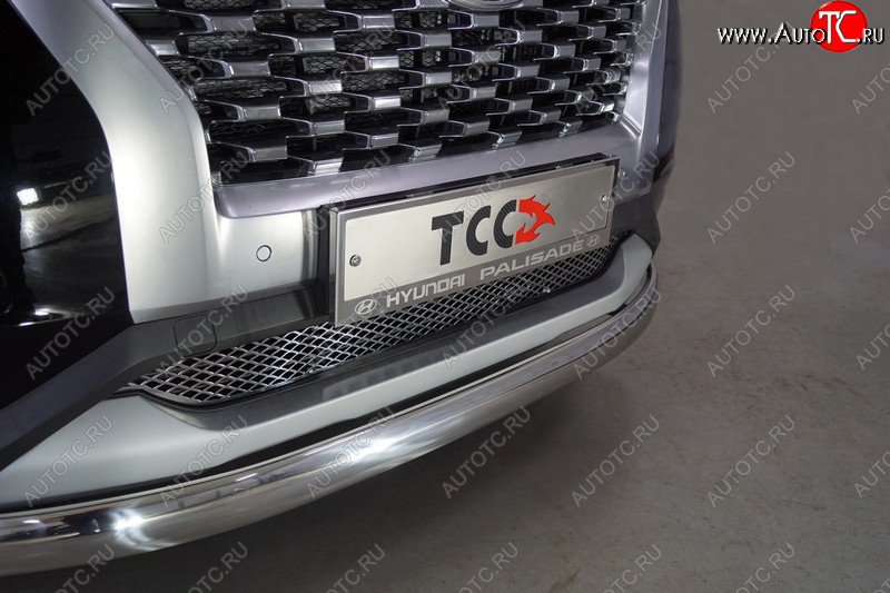 4 999 р. Рамка гос. номера ТСС Тюнинг  Hyundai Palisade  LX2 (2018-2022) (нержавейка)  с доставкой в г. Пермь