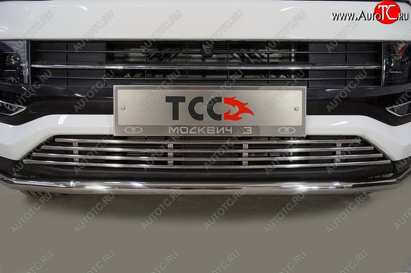 4 999 р. Рамка гос. номера ТСС Тюнинг  Москвич 6 (2023-2025) лифтбэк (нержавейка)  с доставкой в г. Пермь