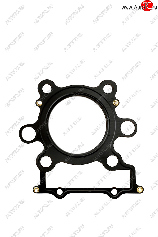 2 339 р. Прокладка ГБЦ CHAKIN Yamaha TT-R250 99-06 4GY-11181-01-00  100y-014  с доставкой в г. Пермь