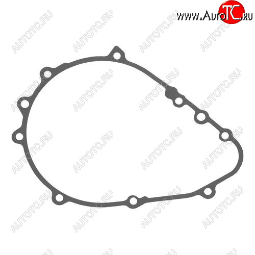 859 р. Kawasaki Z7501000 07-16 прокладка генератора 11061-0294  000k-030  с доставкой в г. Пермь