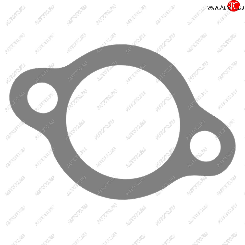 99 р. Kawasaki Ninja250R 08-12 KLXKX450R 08-17 прокладка натяжителя цепи ГРМ 11061-0260  000k-069  с доставкой в г. Пермь