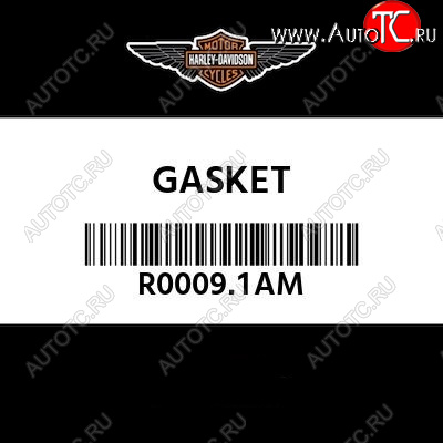 799 р. Прокладки Harley Davidson R0009.1AM Оригинал  пм-00021746  с доставкой в г. Пермь