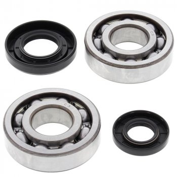 9 779 р. Компл. подшипников и сальников квала ALL BALLS Yamaha YZ250 01-16, YZ250X 16  (24-1029)  24-1029  с доставкой в г. Пермь. Увеличить фотографию 1