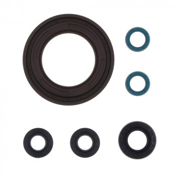4 289 р. Комплект сальников двигателя ATHENA Yamaha TDM900 02-09  p400485400158  с доставкой в г. Пермь. Увеличить фотографию 1