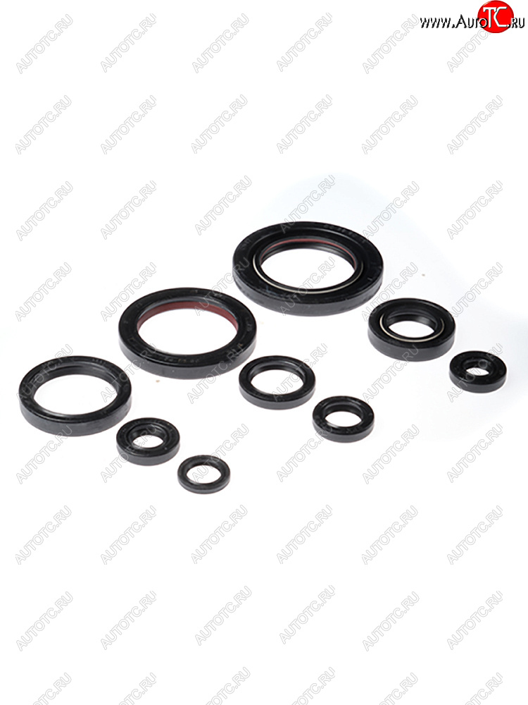 3 349 р. Комплект сальников двигателя BWX Honda TRX450ER 06-14, TRX450R 06-09 (822312)  osk30312  с доставкой в г. Пермь