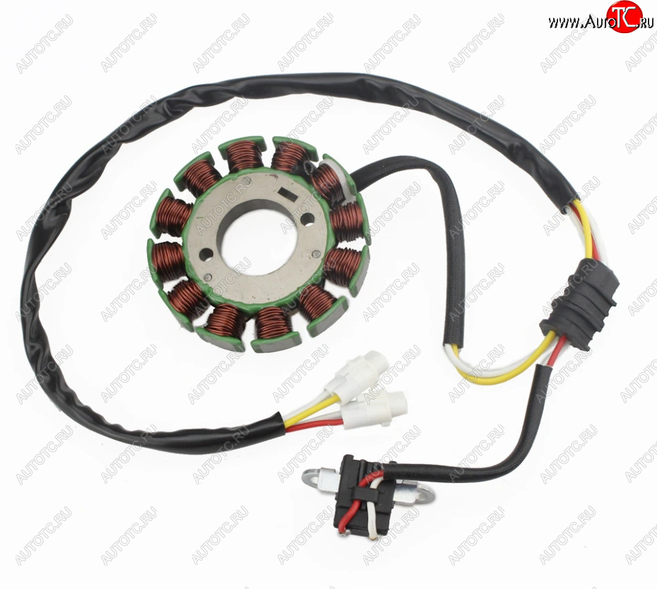 4 379 р. Статор генератора Yamaha WR250F 03-0911-14 5UM-81410-09-00, 5UM-81410-31-00  пм-00028532  с доставкой в г. Пермь