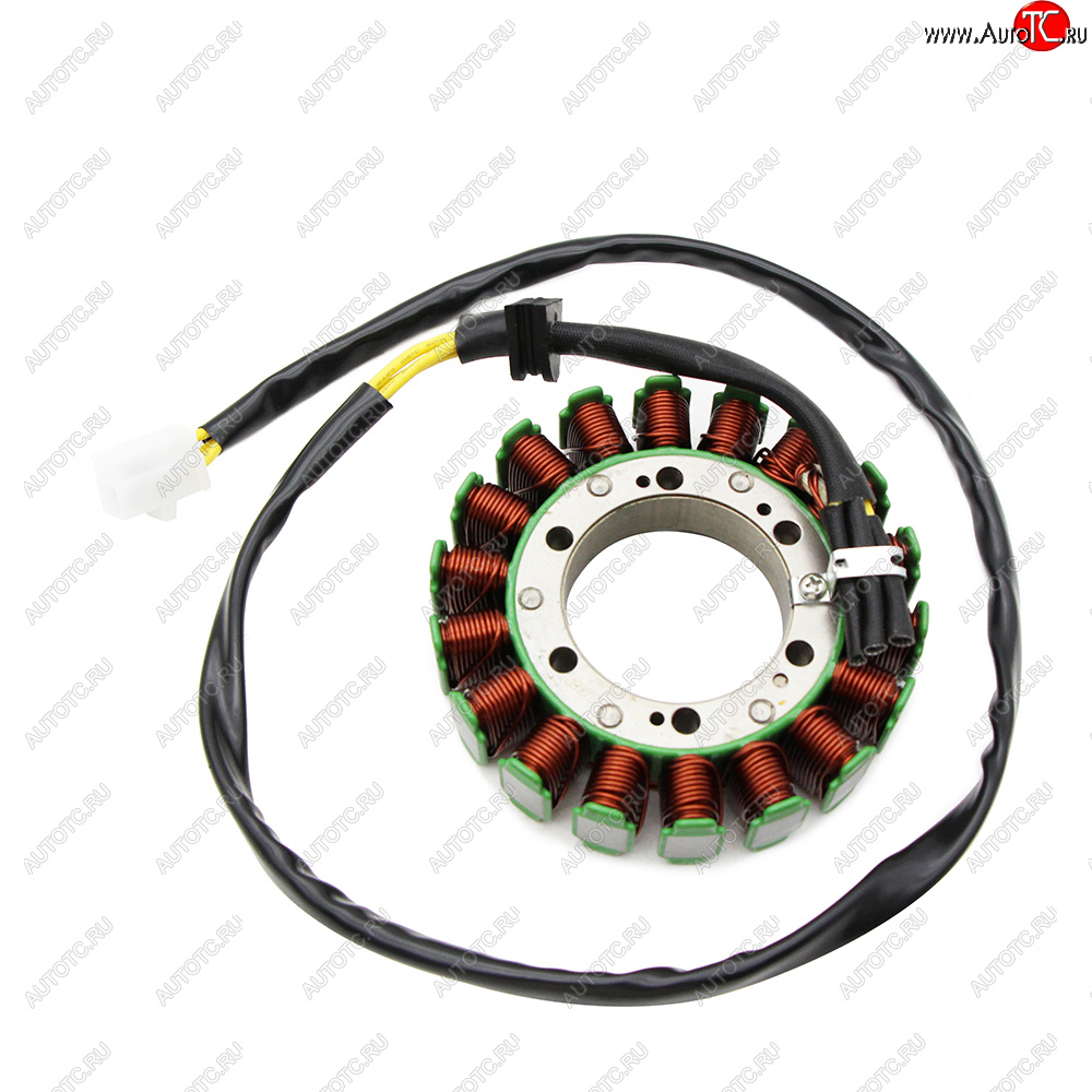 5 749 р. Статор генератора Honda VT750 04-09 31120-MEG-003  пм-00028701  с доставкой в г. Пермь