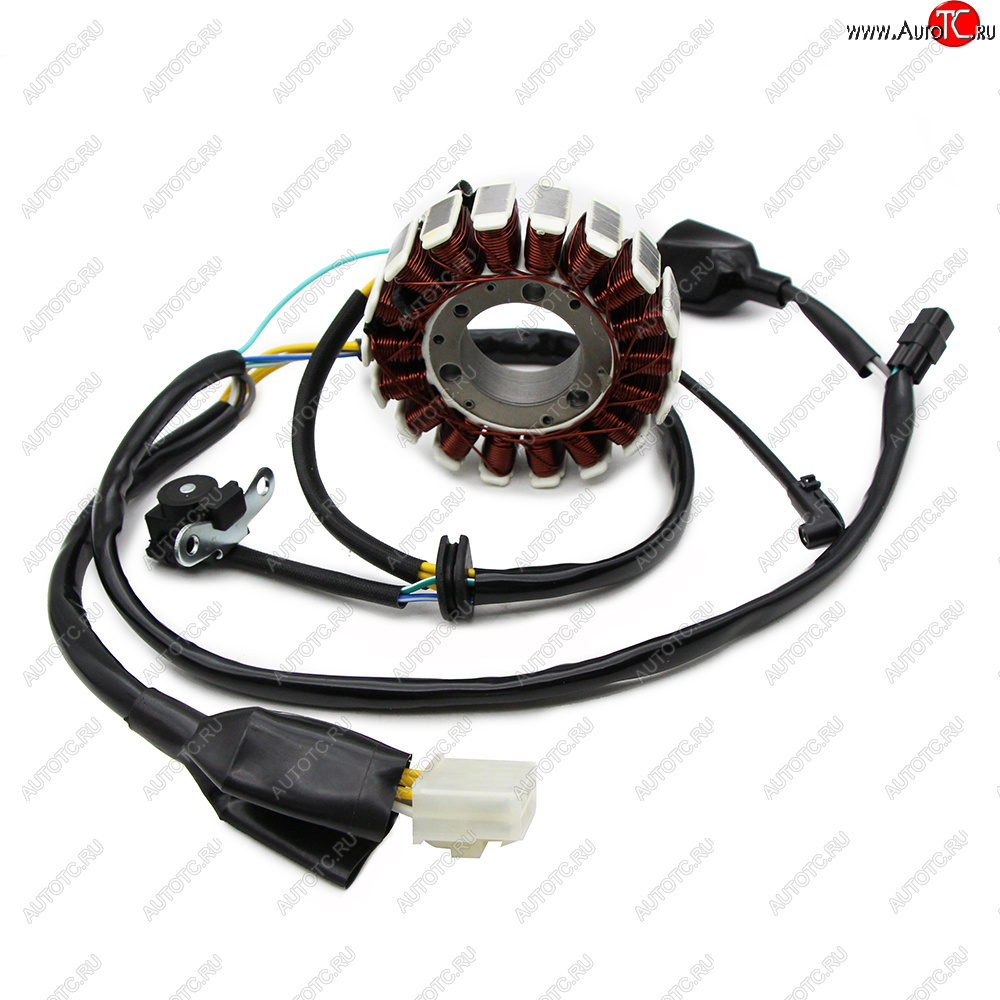 6 199 р. Статор генератора Kawasaki KLX250SSFD-Tracker 08-16 21003-0087  пм-00029813  с доставкой в г. Пермь