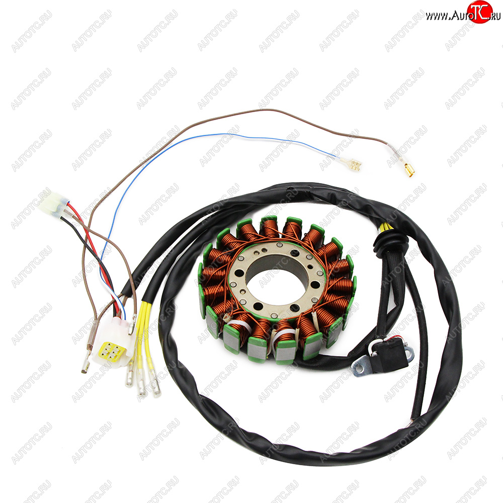 6 769 р. Статор генератора Polaris RANGER 500 05-09 3089579  пм-00029725  с доставкой в г. Пермь