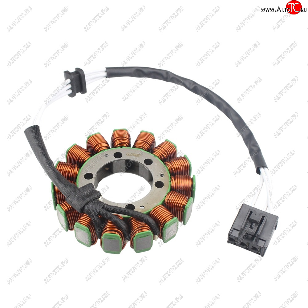6 769 р. Статор генератора Aprilia RSV4 11-17, Tuono 1000 V4 12-15, Tuono 1100 16-17 2D000049  пм-00029754  с доставкой в г. Пермь