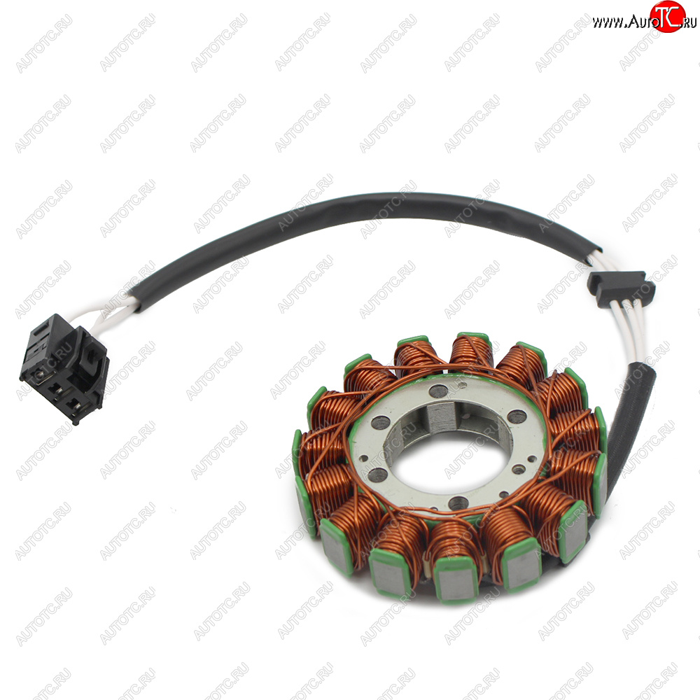 5 469 р. Статор генератора Kawasaki ZX6R 07-08 21003-0049  пм-00029862  с доставкой в г. Пермь