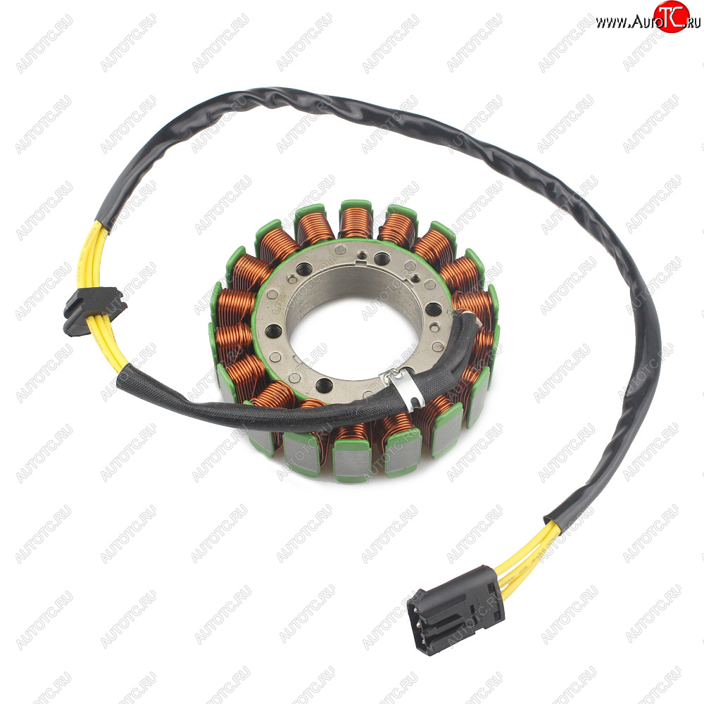 6 769 р. Статор генератора BMW F650GS 06-12, F700GS 11-17, F800GS 07-17, F800R 10-19, F800S 04-10 и др.  пм-00029826  с доставкой в г. Пермь