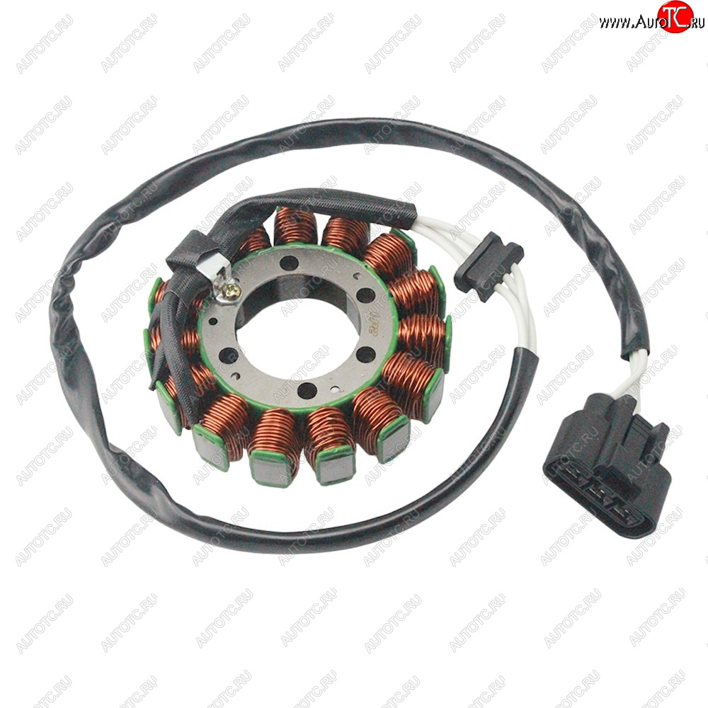5 839 р. Статор генератора Kawasaki ZX6R 09-17 21003-0083  пм-00029840  с доставкой в г. Пермь