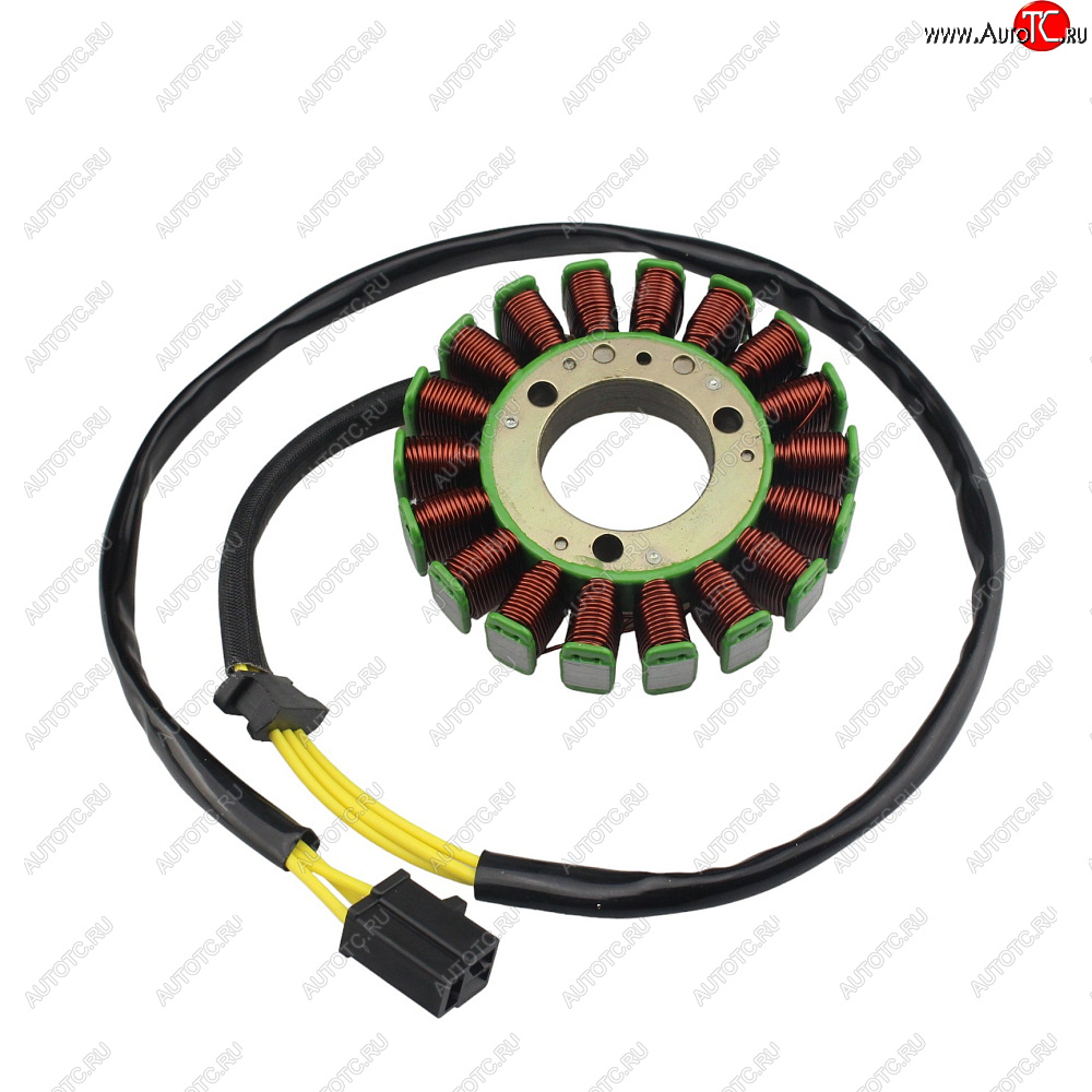 5 379 р. Статор генератора Kawasaki ZZR250 86-07, EL250 87-03, KLE250 93-01 21003-1154  пм-00029712  с доставкой в г. Пермь