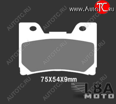 2 699 р. Тормозные колодки Nissin 2P-251NS (251)  28 556  с доставкой в г. Пермь