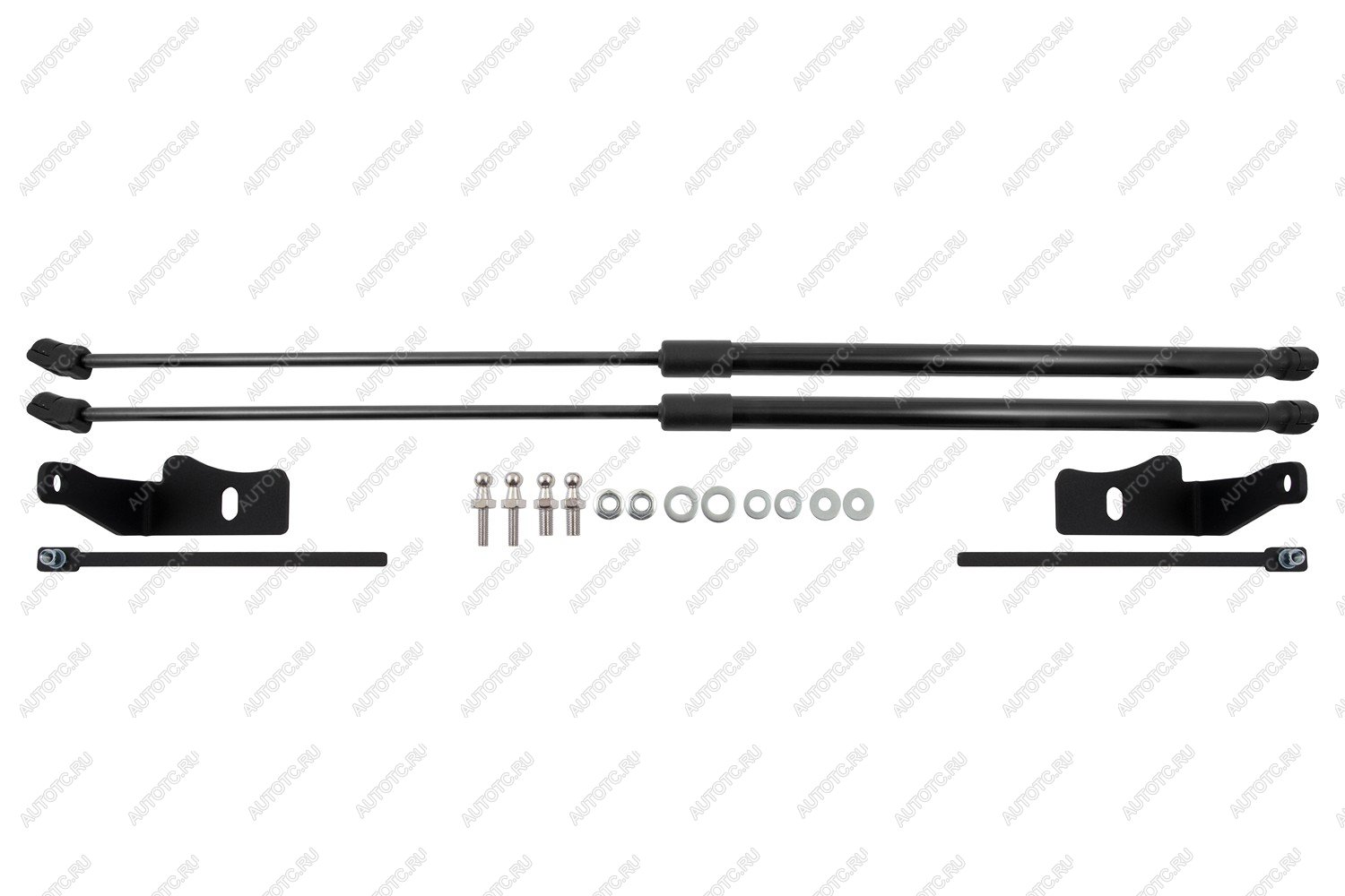 4 899 р. Амортизаторы капота для DongFeng Glorу 600, 2024-, к-т 2 шт  ДонгФенг Глори 600 EASYLIFT easylift 076.102  с доставкой в г. Пермь