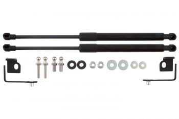 4 549 р. Амортизаторы капота для EVOLUTE i-Space, 2024-, к-т 2 шт  Эволют EASYLIFT easylift 062.102  с доставкой в г. Пермь. Увеличить фотографию 1
