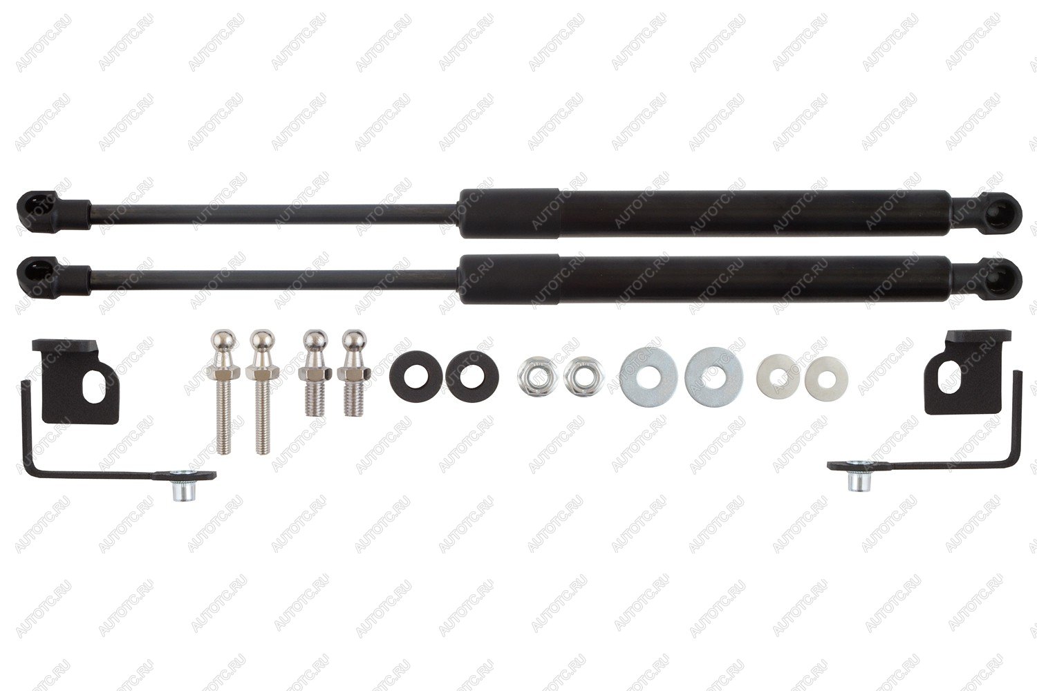 4 549 р. Амортизаторы капота для EVOLUTE i-Space, 2024-, к-т 2 шт  Эволют EASYLIFT easylift 062.102  с доставкой в г. Пермь