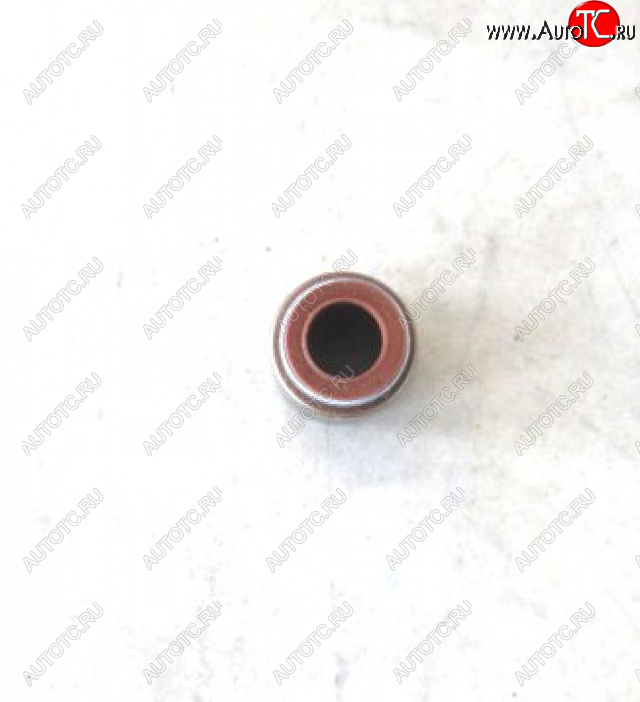 79 р.     Колпачки маслосъемные (YC6108) 430-1007016A YUCHAI 430-1007016a  с доставкой в г. Пермь