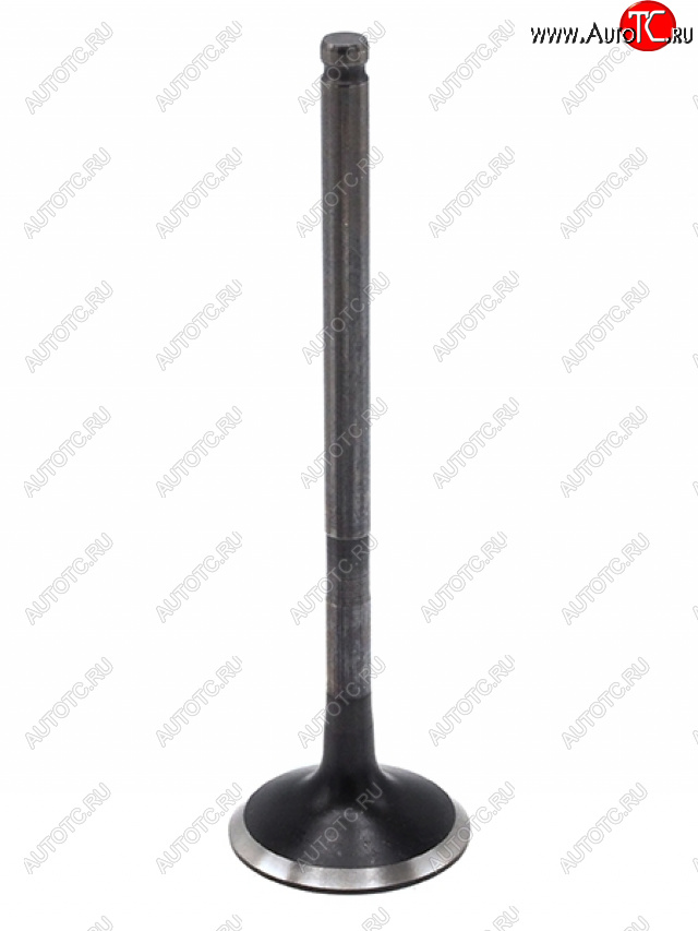 1 499 р. Клапан выпускной TOYOTA 1AZFE2AZFE1AZFSE2AZFSE2AZFXE TOYOTA 13715-28010  с доставкой в г. Пермь