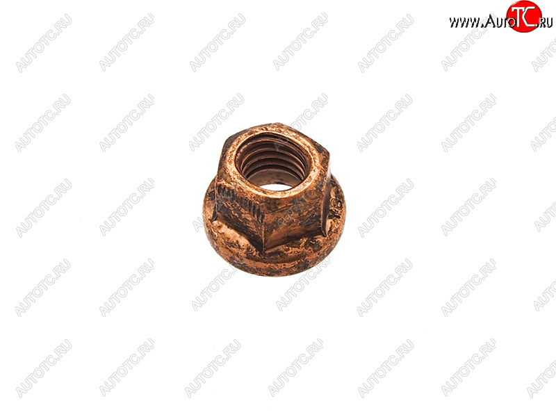 153 р. Гайка выпускного коллектора (медная) VAG CFNA,CFNB (M8X1.25) VAG N90894601  с доставкой в г. Пермь