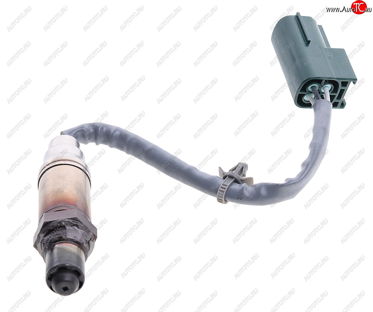 6 299 р. Датчик кислорода NISSAN Micra (03-) (1.2/1.4) BOSCH BOSCH 0258005307 BOSCH 0258005307  с доставкой в г. Пермь