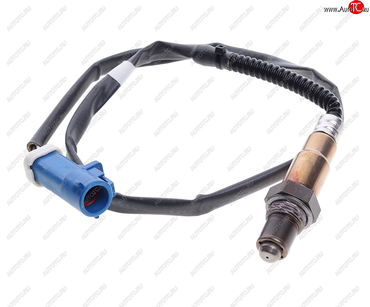 10 899 р. Датчик кислорода FORD Galaxy (01-) (2.0/2.3) BOSCH BOSCH 0258006187 BOSCH 0258006187  с доставкой в г. Пермь