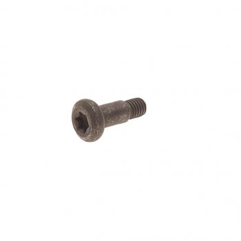 Болт ЗМЗ-406 успокоителя цепи нижнего (ОАО ЗМЗ) ЗМЗ 040600-1006096-20