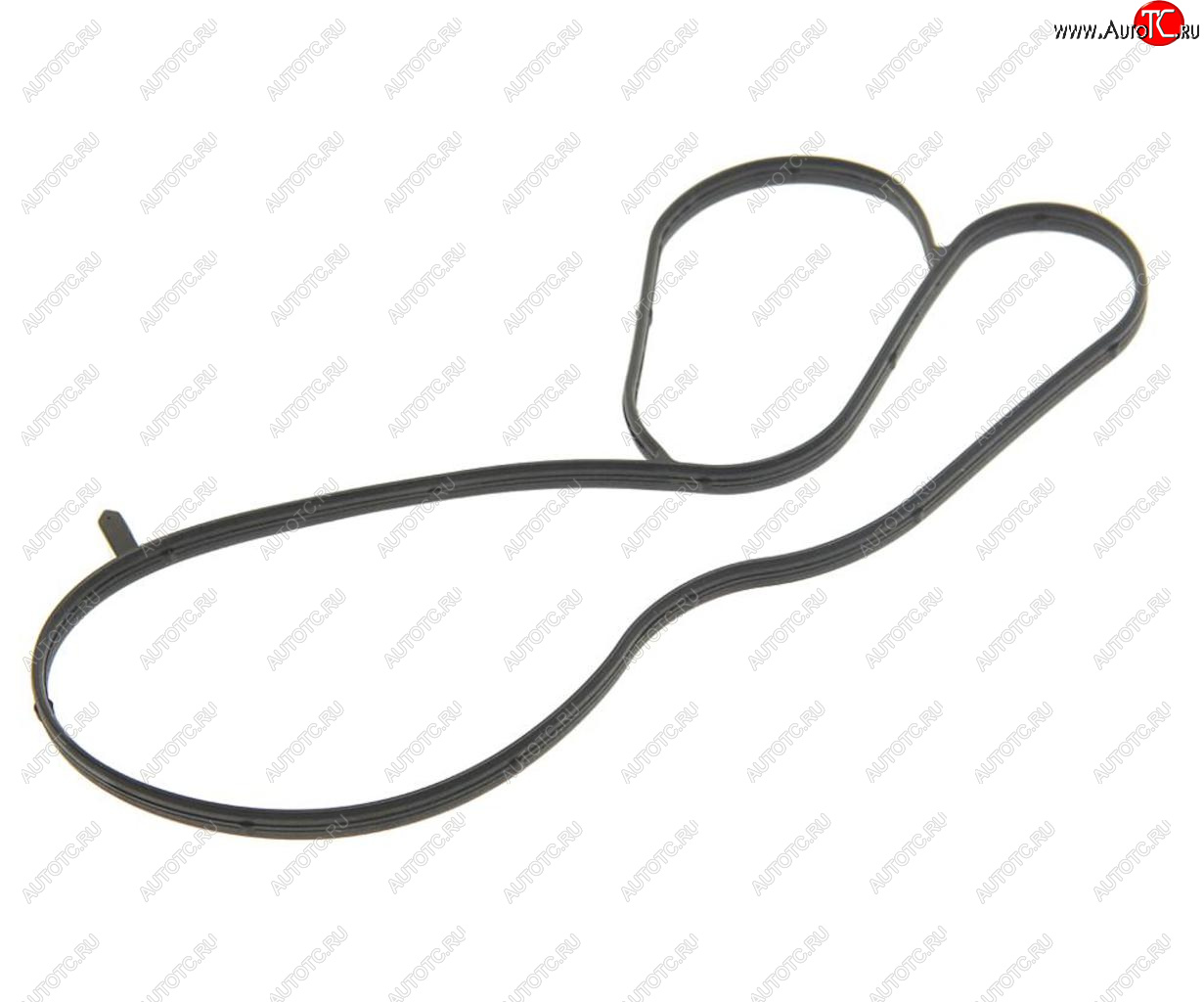 489 р. Кольцо уплотнительное VW AUDI SEAT SKODA (1.4) насоса водяного OE VAG 04e121119c  с доставкой в г. Пермь