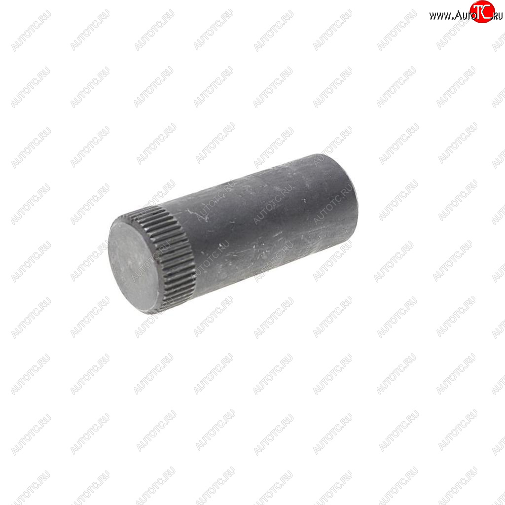 82 р. Палец DAF колодки тормозной (22x56) SAMPA SAMPA 050.124  с доставкой в г. Пермь
