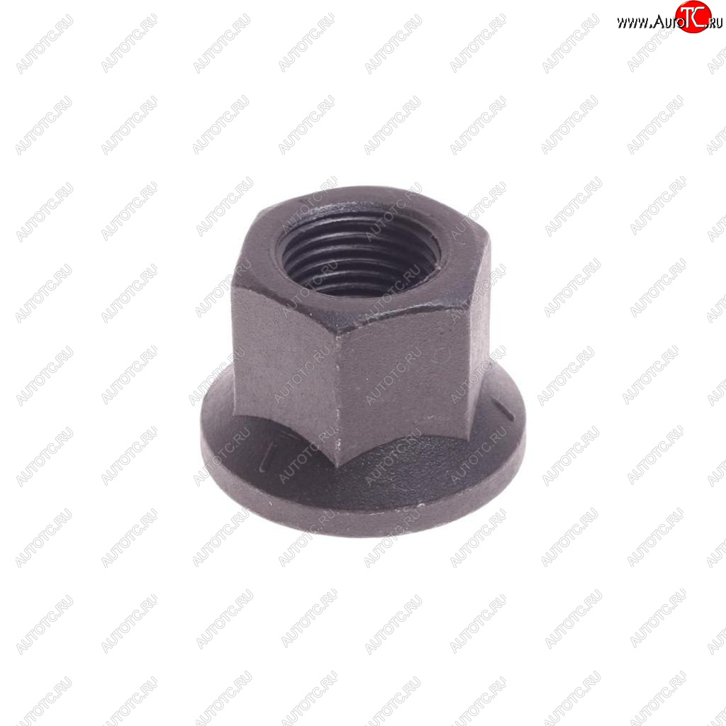 299 р. Гайка BPW колеса с фланцем (М22x2) FEBI FEBI 06254  с доставкой в г. Пермь