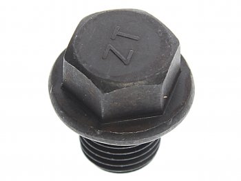 243 р. Пробка JAC N56,T6 сливная масляного картера двигателя OE JAC 1009104fe010  с доставкой в г. Пермь. Увеличить фотографию 1