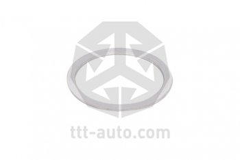 3 799 р. Ремкомплект суппорта WABCO 19.522.5 (направляющие,болты,пыльники,шайбы) TTT TTT 14803  с доставкой в г. Пермь. Увеличить фотографию 11