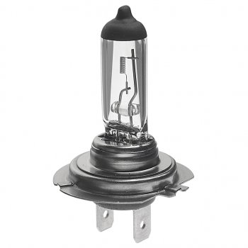 166 р. Лампа 12V H7 55W PX26d Eco BOSCH BOSCH 1987302804  с доставкой в г. Пермь. Увеличить фотографию 1