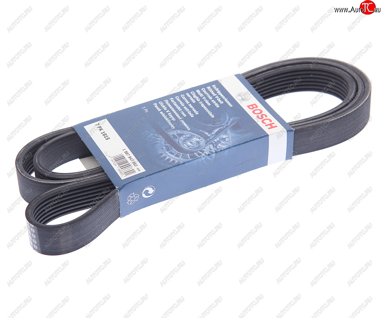 2 699 р. Ремень приводной поликлиновой 7PK1815 NISSAN Qashqa BOSCH BOSCH 1987947562 BOSCH 1987947562  с доставкой в г. Пермь