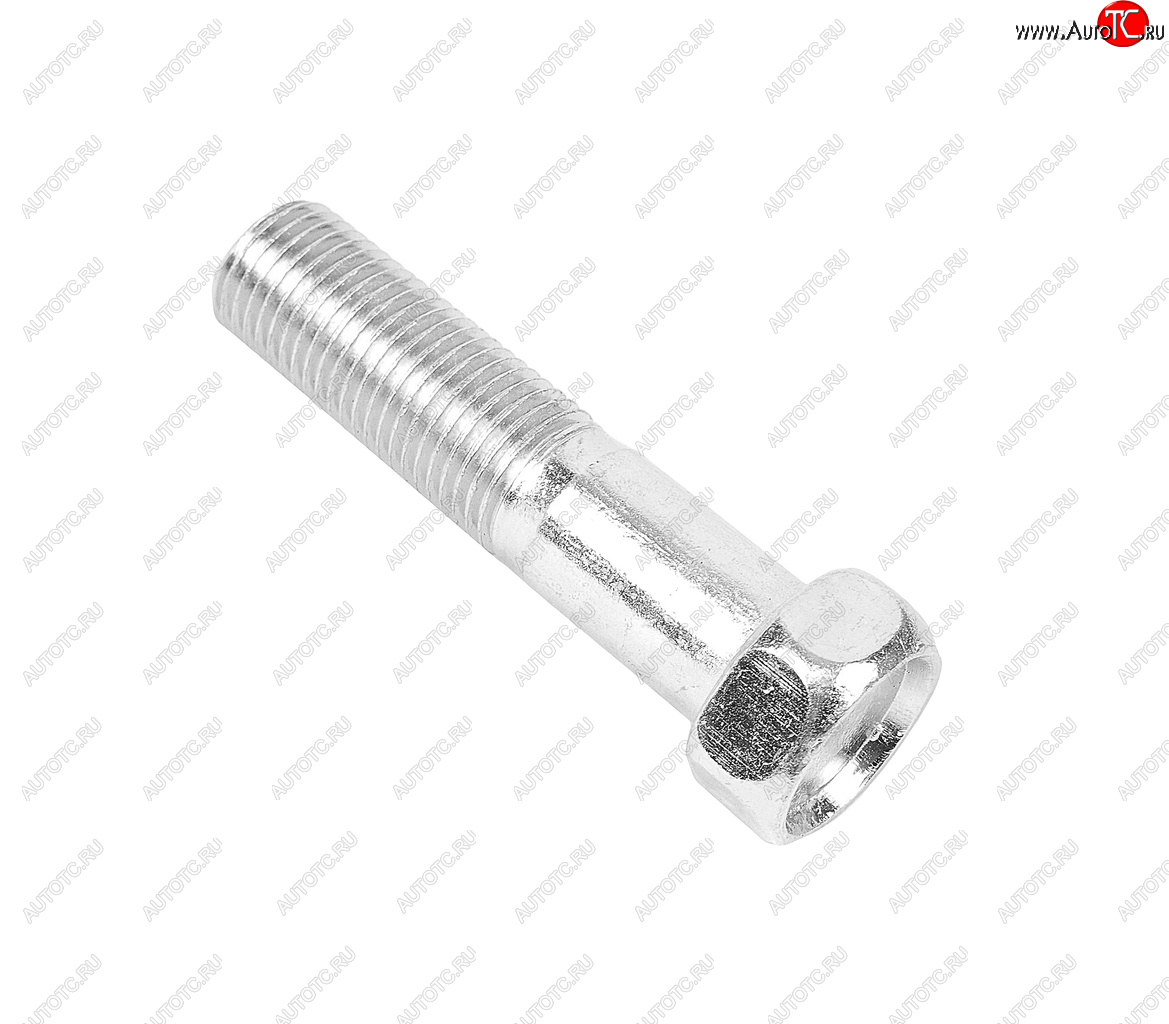 38 р. Болт М12х1.25х50 ГАЗ-3302 эксцентрика ГРМ ЭТНА Красная Этна ОАО 201571-п29  с доставкой в г. Пермь