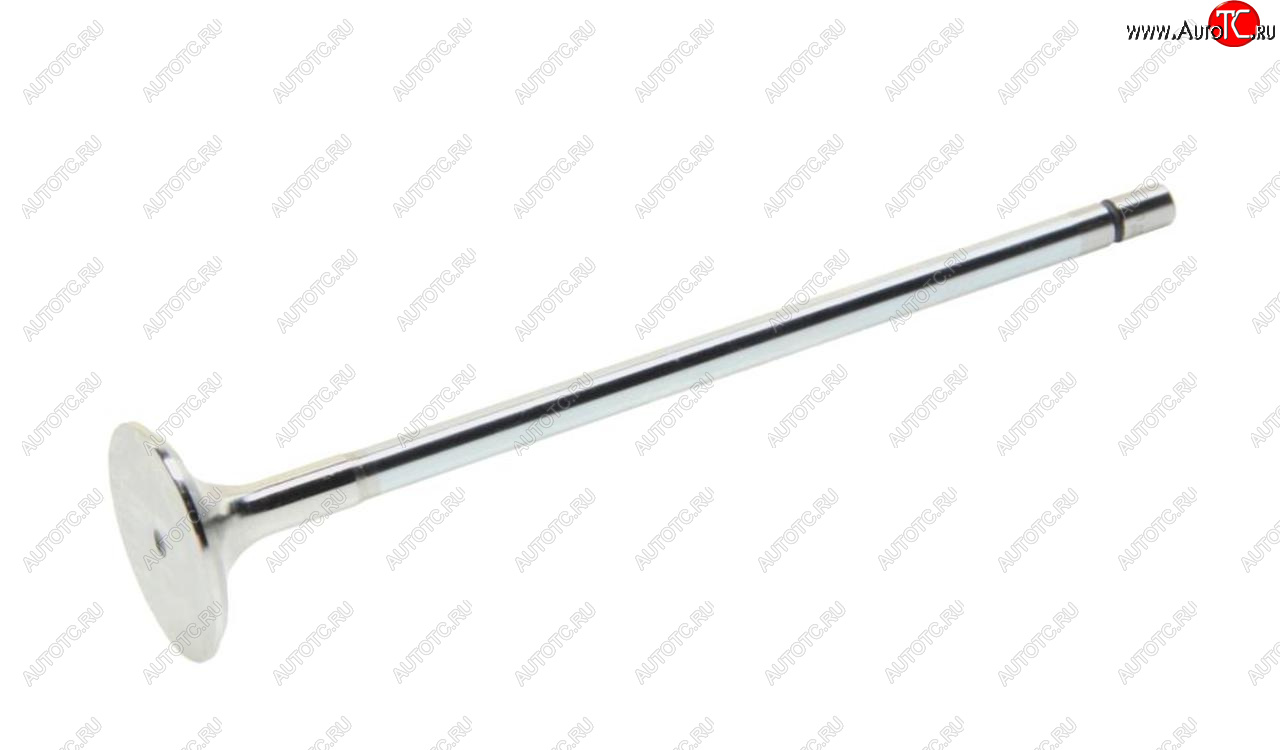 2 259 р. Клапан выпускной RENAULT Kerax дв.DCI11 MAHLE MAHLE 209va31297000  с доставкой в г. Пермь