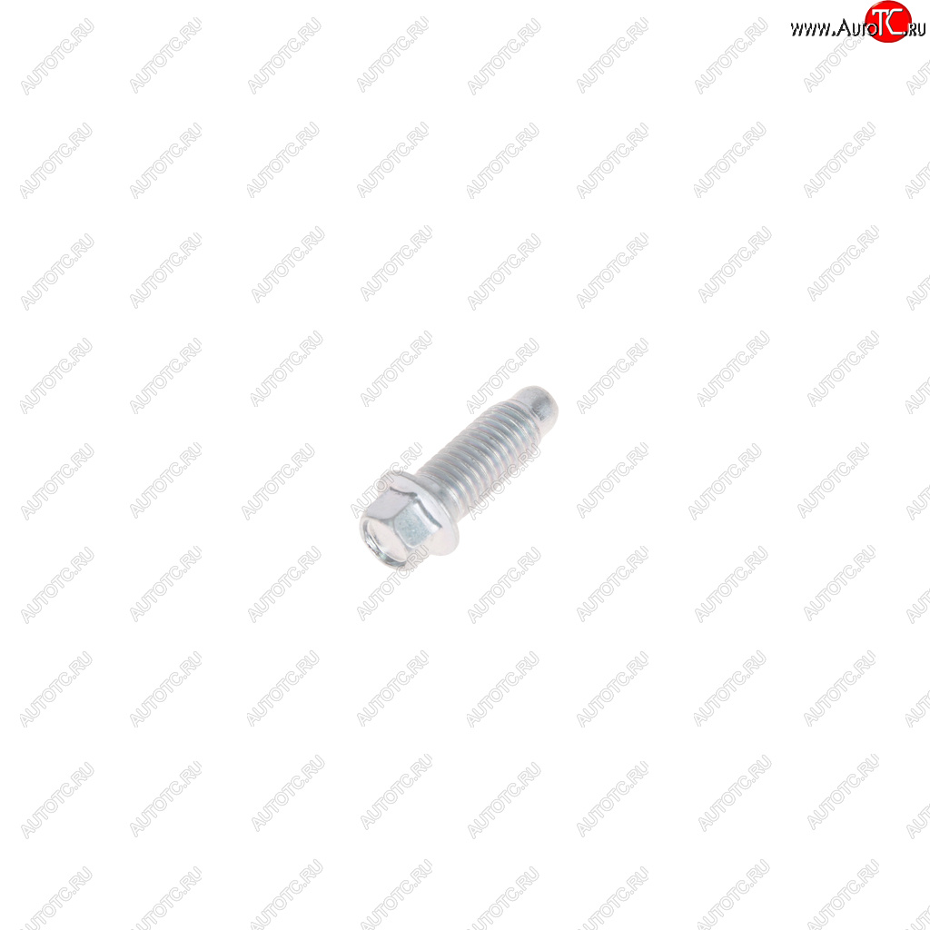 16 р. Болт М8х1.25х22.3 ВАЗ-2110 салазок сиденья NO NAME 2110-6810054  с доставкой в г. Пермь