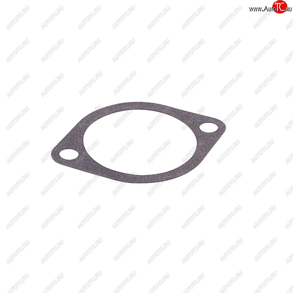 81 р. Прокладка HYUNDAI Accent,Getz термостата DYG DYG 25612-22002  с доставкой в г. Пермь