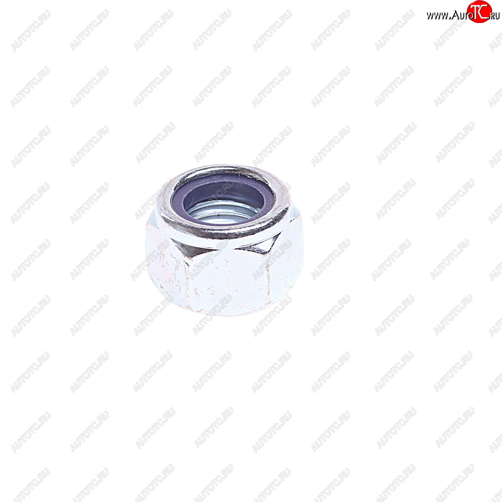 127 р. Гайка с тефлоном (M20х2,5мм) BPW/SAF DT DT 2.62911 DT 2.62911  с доставкой в г. Пермь