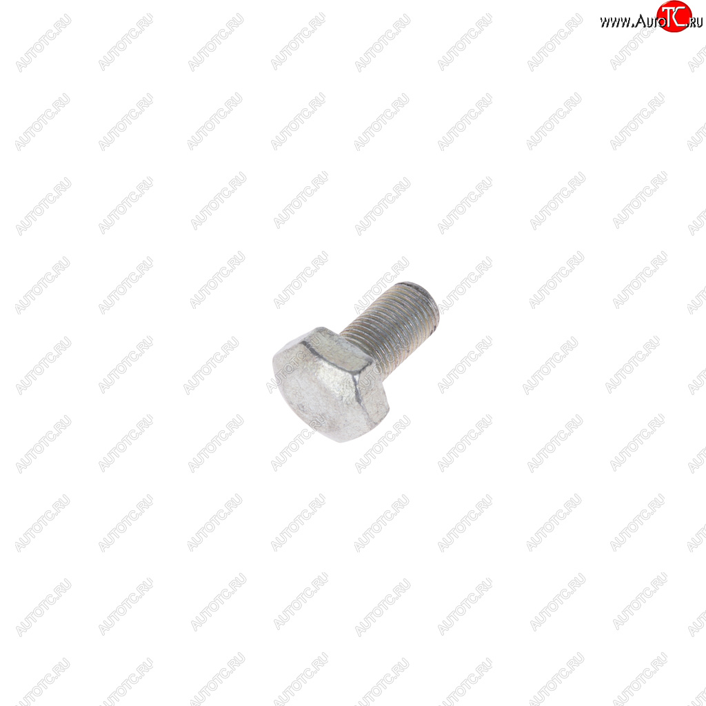 16 р. Болт М10х1.0х18 ГАЗ-2410 петли двери NO NAME 290749-п8  с доставкой в г. Пермь
