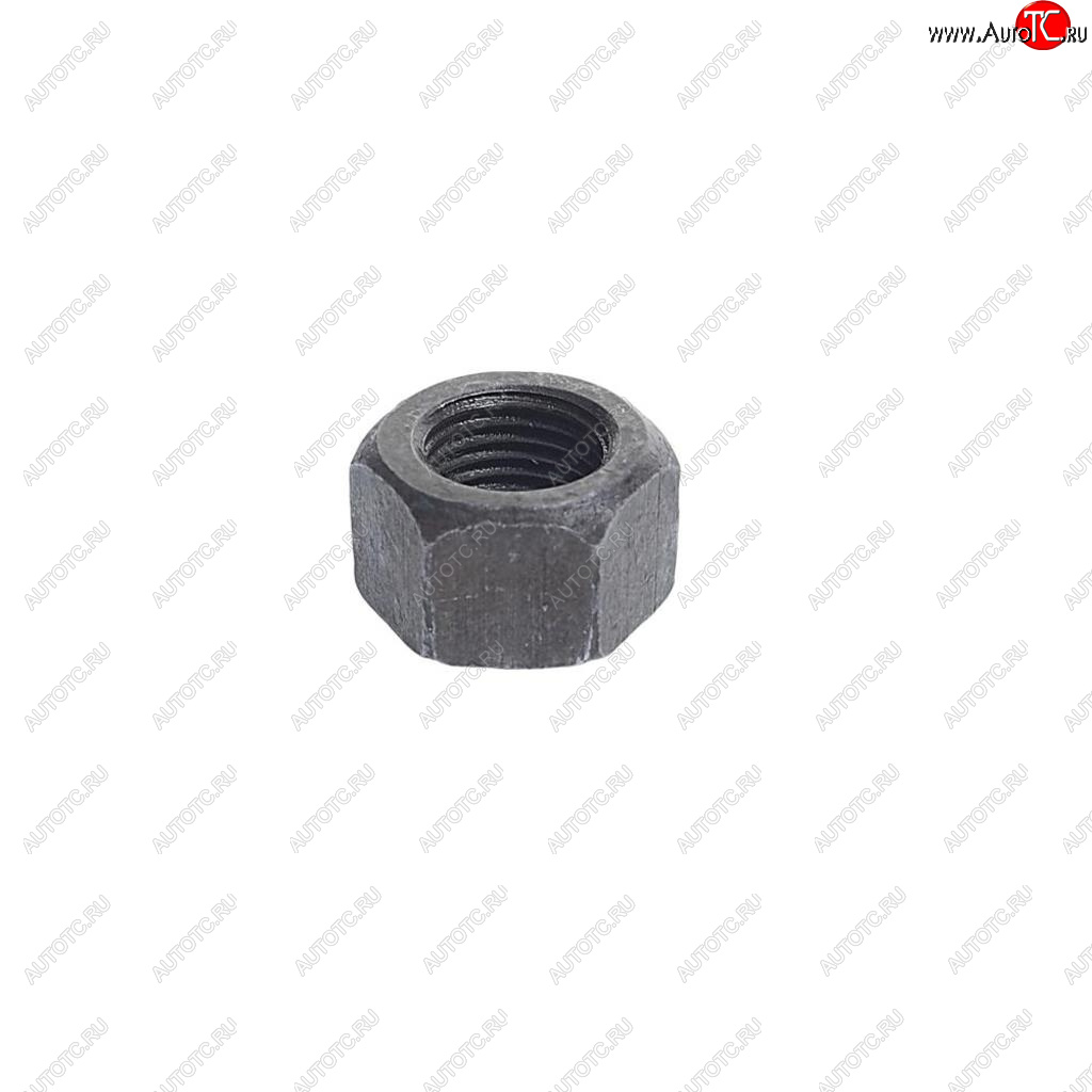 11 р. Гайка М10х1.0х10 ГАЗ-24,31029,УАЗ шатуна ЭТНА Красная Этна ОАО 292758-п  с доставкой в г. Пермь
