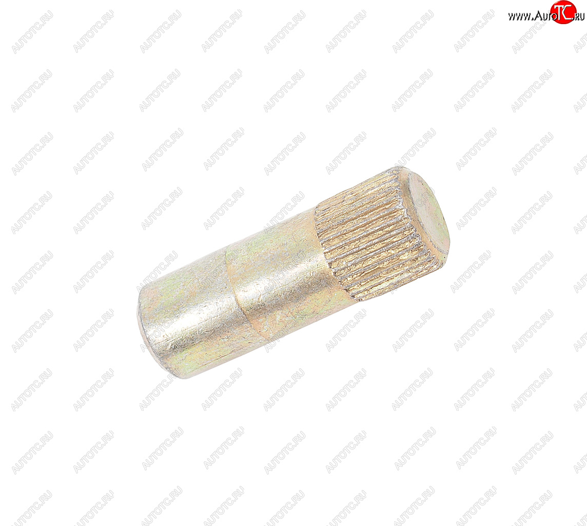17 р. Штифт 10х30 с прямой накаткой шкворня ГАЗ-24 (ОАО ГАЗ) ГАЗ 295105-п18  с доставкой в г. Пермь