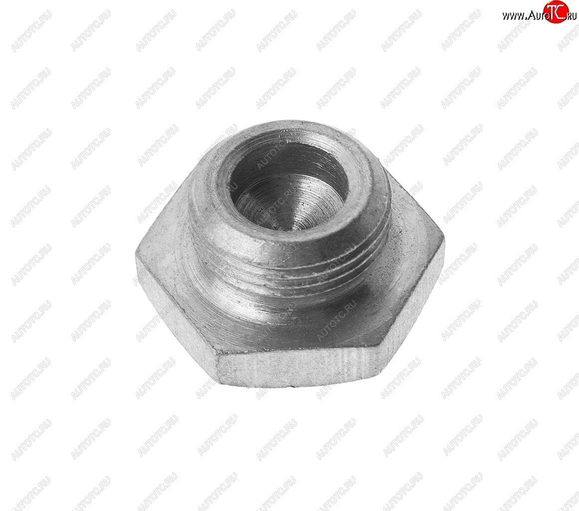 133 р. Пробка М22х1.5х10 ГАЗ-2410 сливная бб, ГАЗ-3110 заливная РЗМ NO NAME 296507-п8  с доставкой в г. Пермь