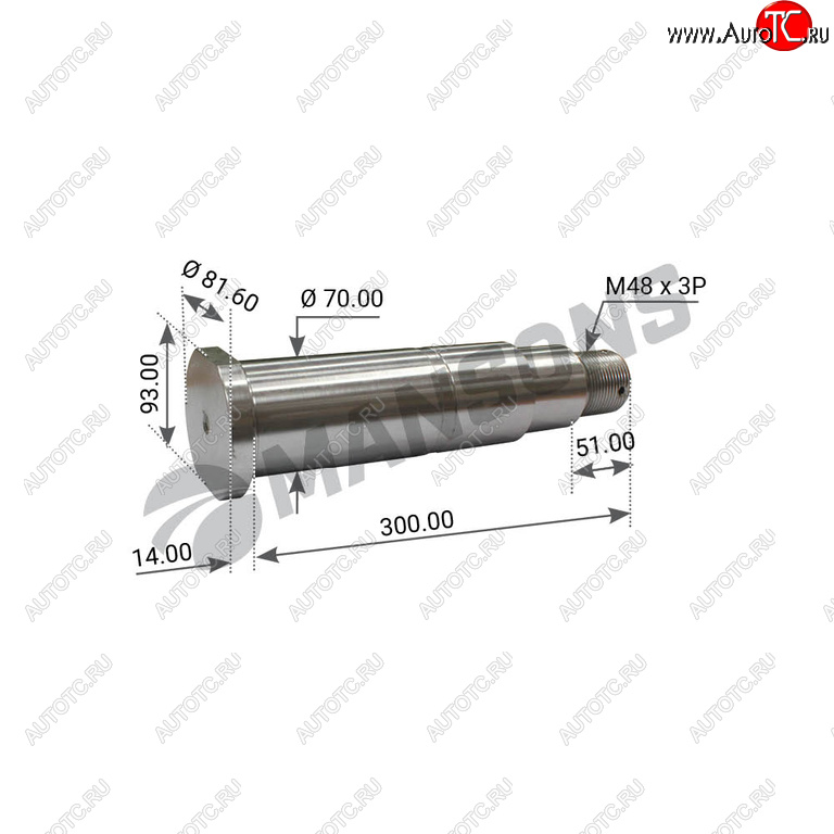 3 599 р. Палец BPW балансира MANSONS MANSONS 300.304.1  с доставкой в г. Пермь