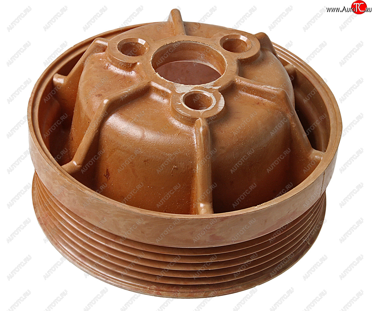 559 р. Шкив ЗМЗ-4054,40525,40904 насоса водяного ЕВРО-3 РИКОР РИКОР 40624-1307053  с доставкой в г. Пермь